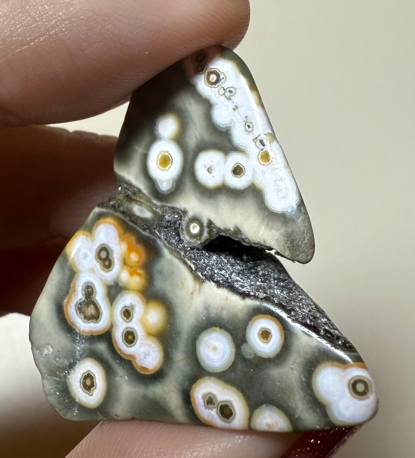 Orbicular 8th Vein Ocean Jasper OJ mini druzy freeform