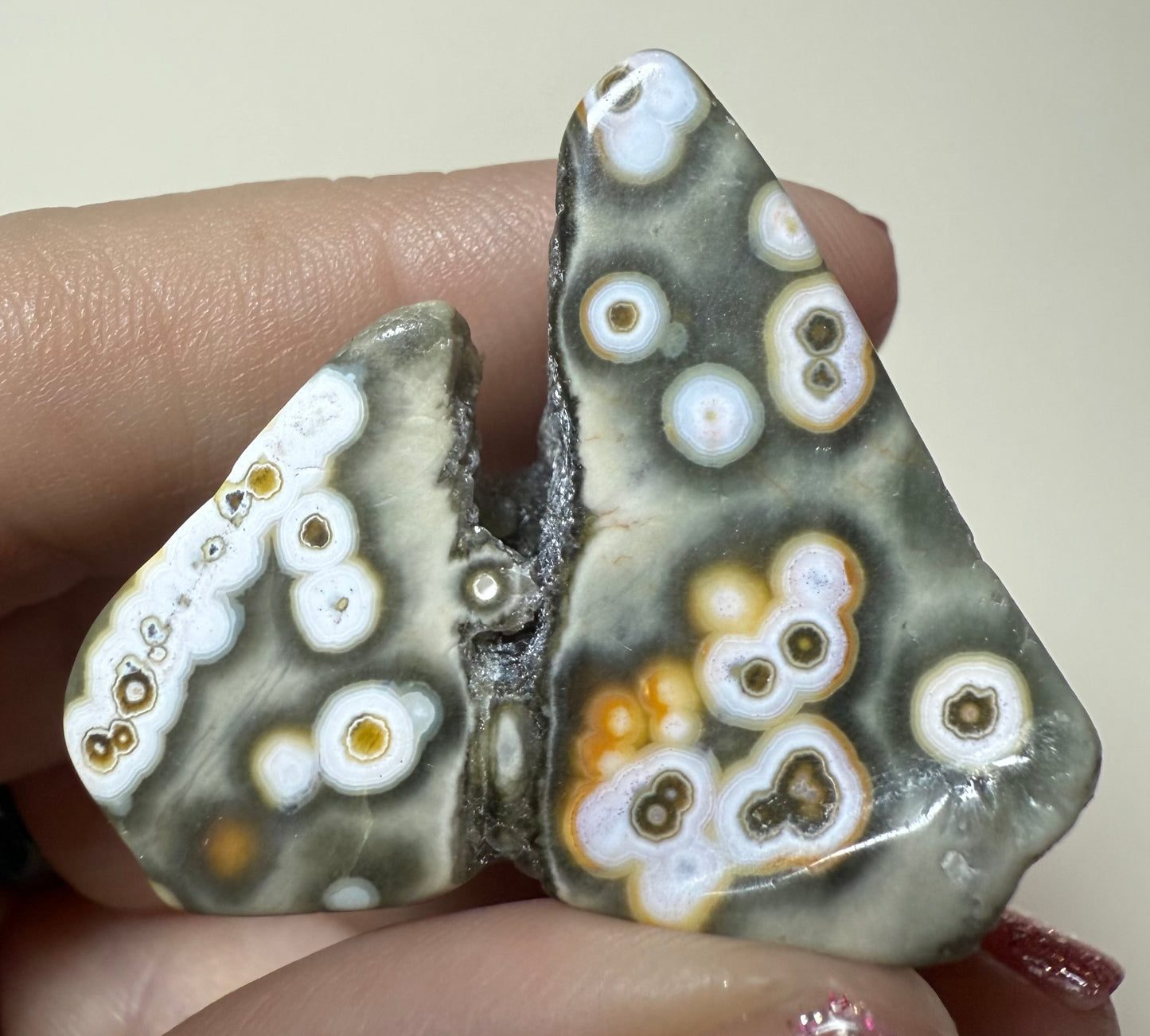 Orbicular 8th Vein Ocean Jasper OJ mini druzy freeform