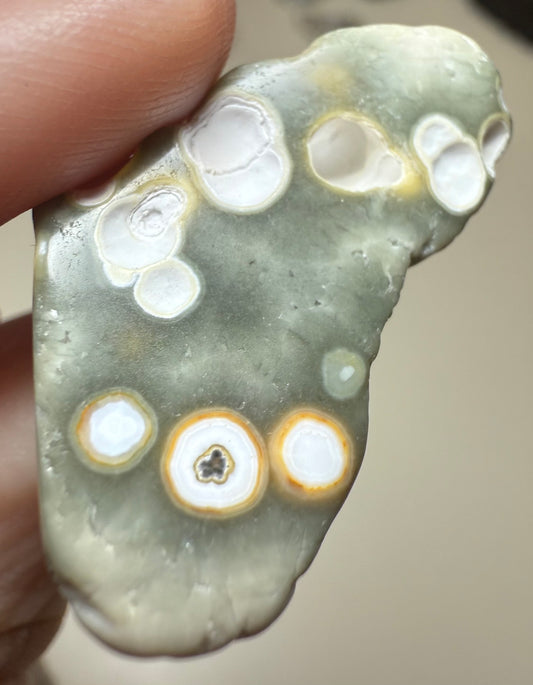 Orbicular 8th Vein OJ Ocean Jasper mini tumbled freeform