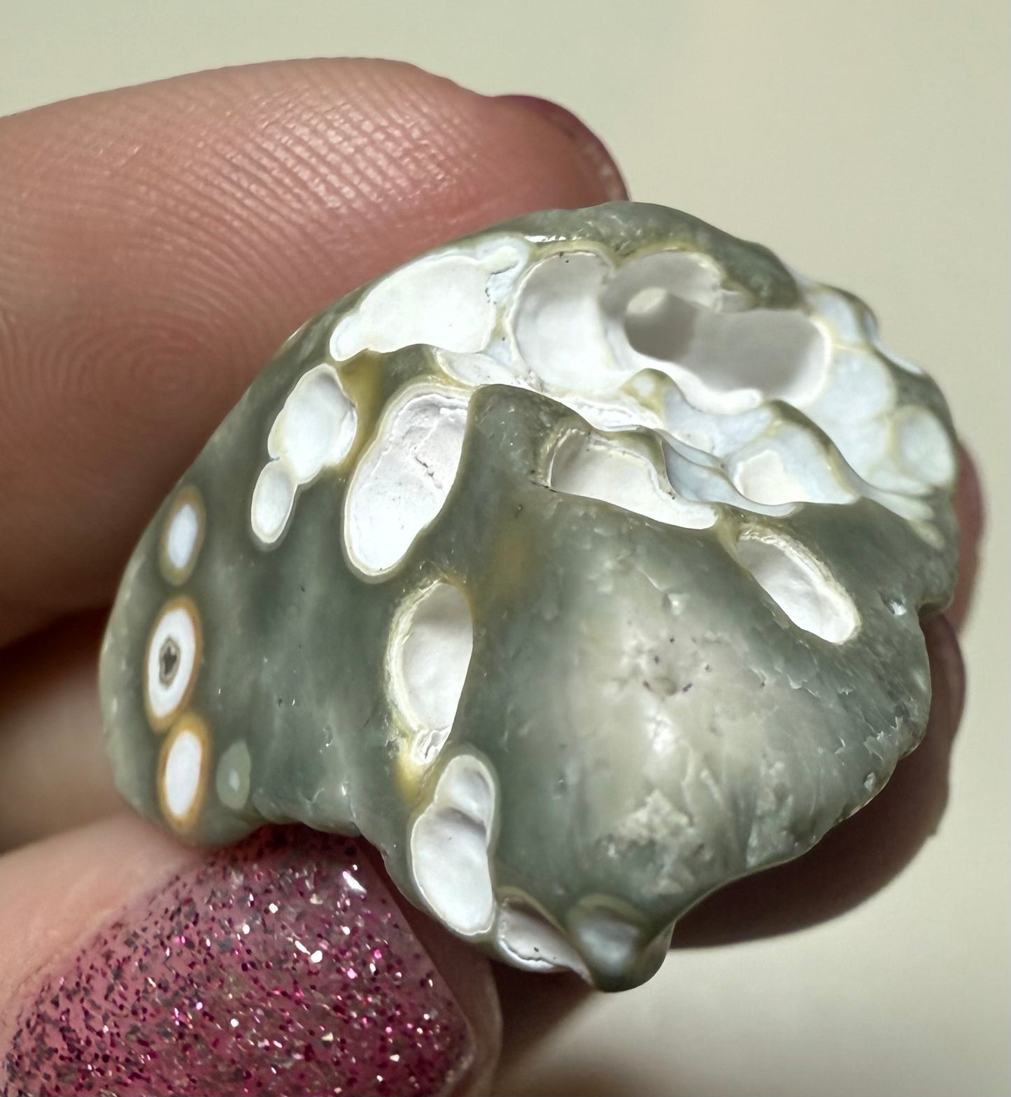 Orbicular 8th Vein OJ Ocean Jasper mini tumbled freeform